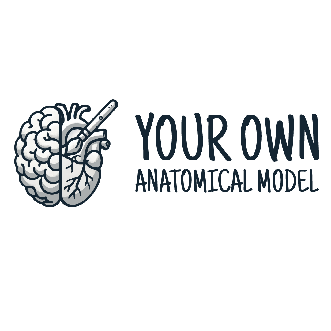 MODELOS UNED by YOAM 3D